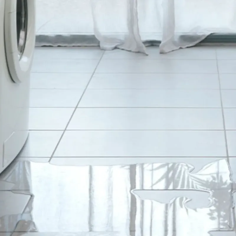 Appliance Leak Cleanup in Washburn, WI
