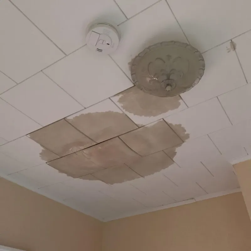 Ceiling Water Damage Repair in Washburn, WI