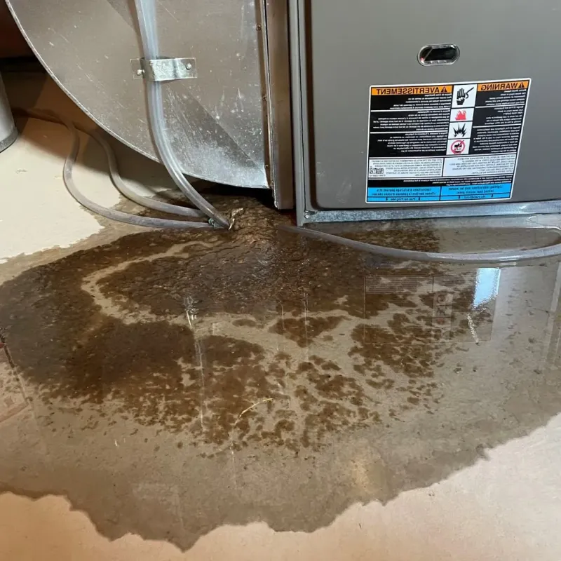 Pipe Burst and Leak Restoration in Washburn, WI