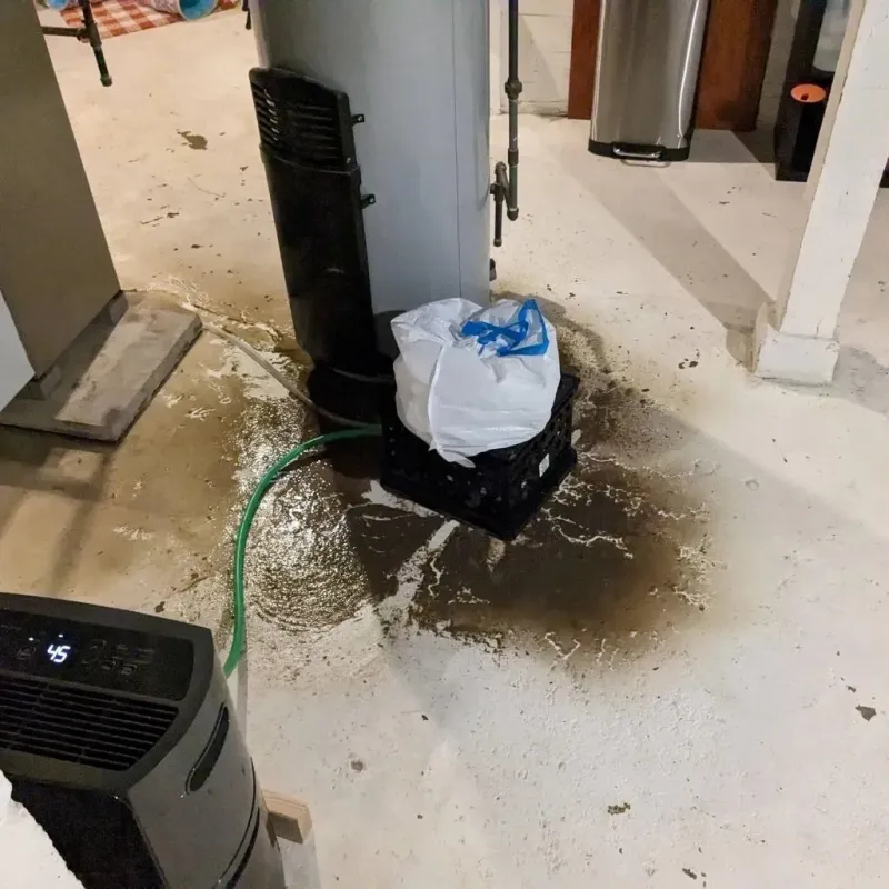 Sewage Backup Cleanup Service in Washburn, WI